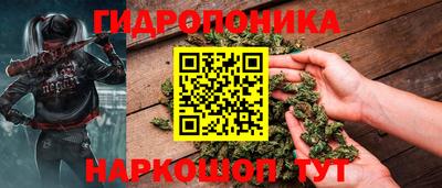 прущие крисы Славгород