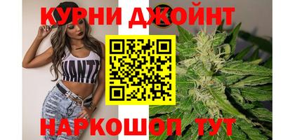 прущие крисы Славгород