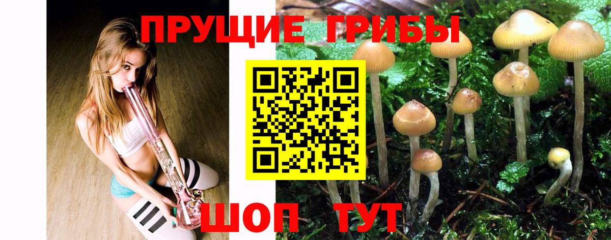 Псилоцибиновые грибы Psilocybine cubensis Наро-Фоминск